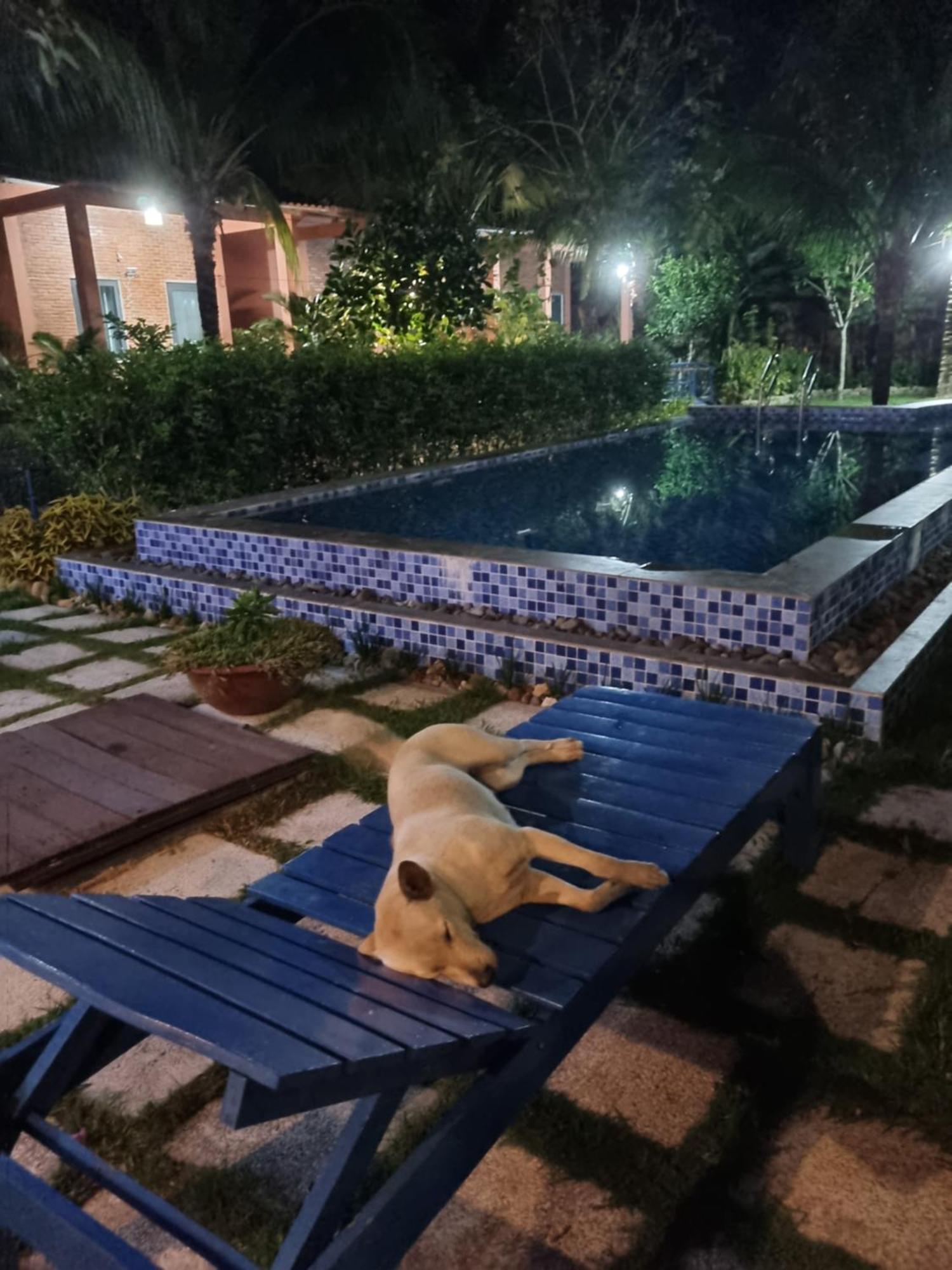 Anan Boutique Bungalows With Private Kitchen دونغ دونغ المظهر الخارجي الصورة